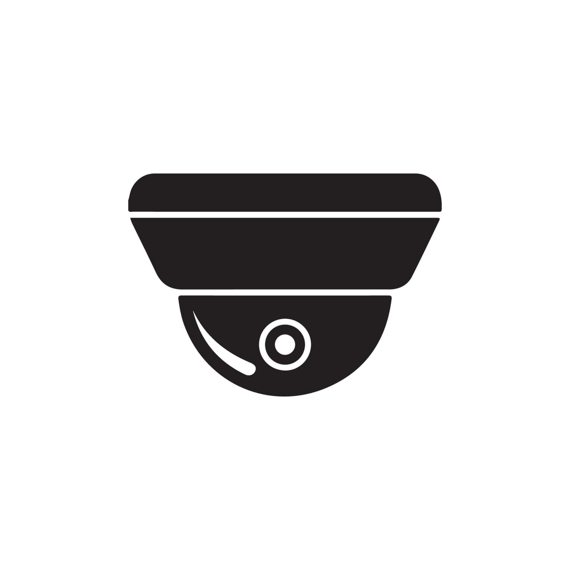 SecurityCam-image